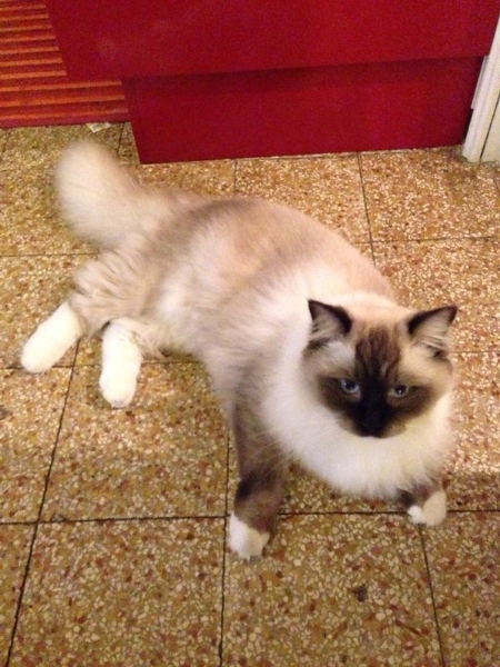 TREVOR di Clizia
